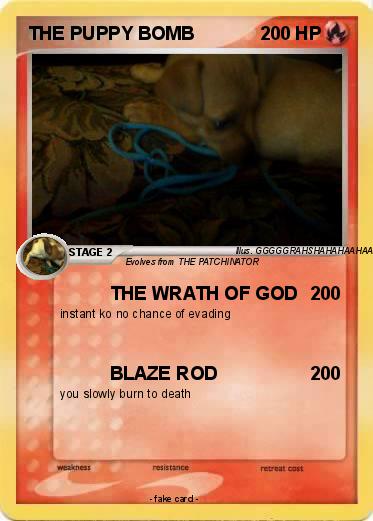 Pokemon THE PUPPY BOMB