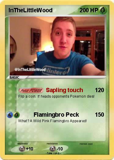 Pokemon InTheLittleWood