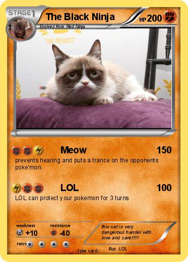 Pokemon The Black Ninja