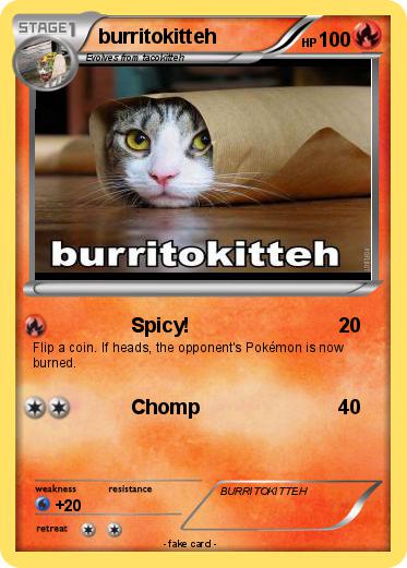 Pokemon burritokitteh