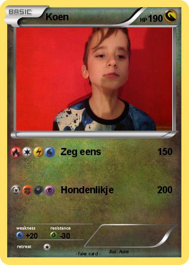 Pokemon Koen