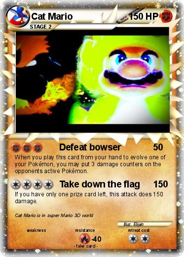 Pokemon Cat Mario