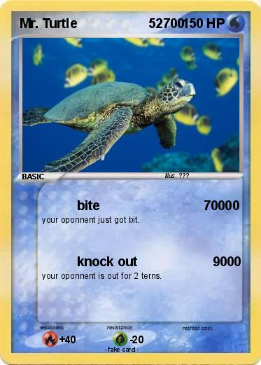 Pokemon Mr. Turtle                    52700