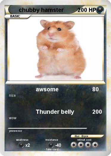 Pokemon chubby hamster