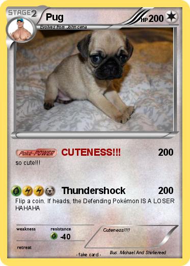 Pokemon Pug