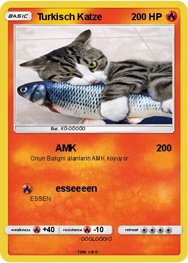 Pokemon Turkisch Katze
