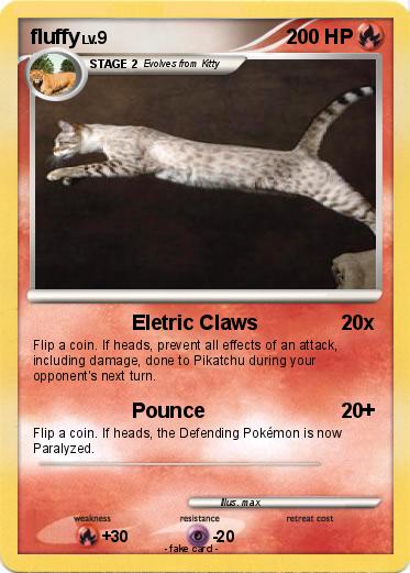 Pokemon fluffy