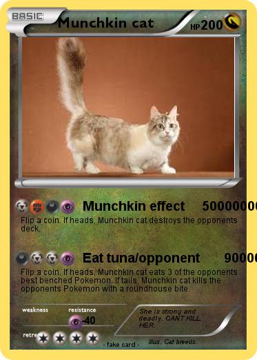 Pokemon Munchkin cat
