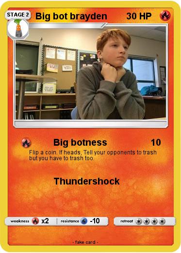 Pokemon Big bot brayden