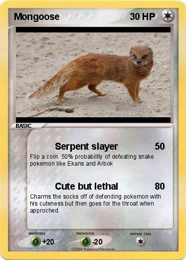 Pokemon Mongoose
