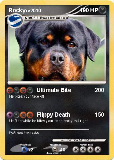 Pokemon Rocky