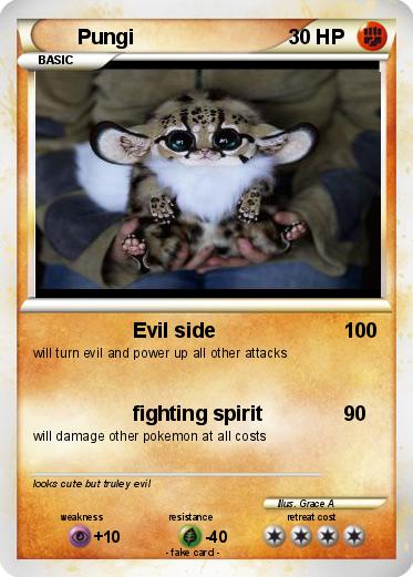 Pokemon Pungi