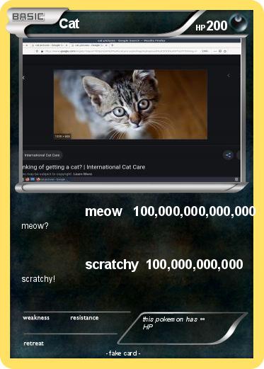 Pokemon Cat