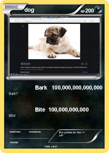 Pokemon dog