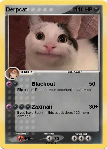 Pokemon Derpcat