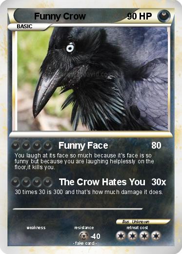 Pokemon Funny Crow