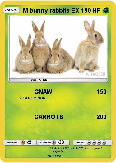 Pokemon M bunny rabbits EX