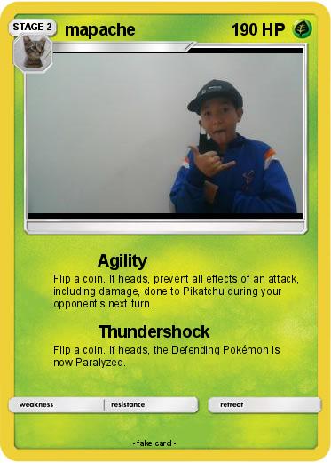 Pokemon mapache