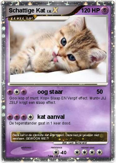 Pokemon Schattige Kat