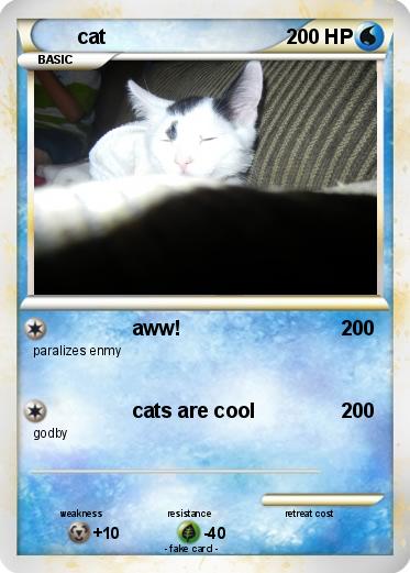 Pokemon cat