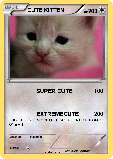 Pokemon CUTE KITTEN