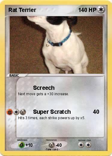Pokemon Rat Terrier
