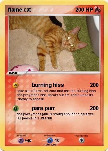 Pokemon flame cat
