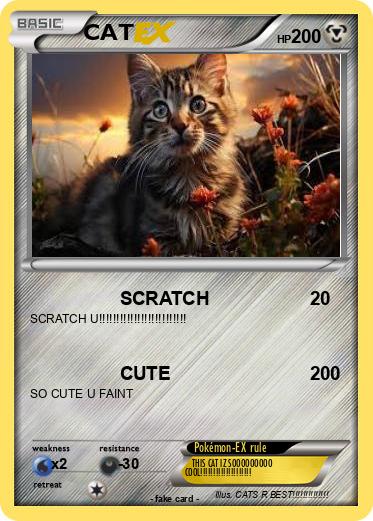Pokemon CAT