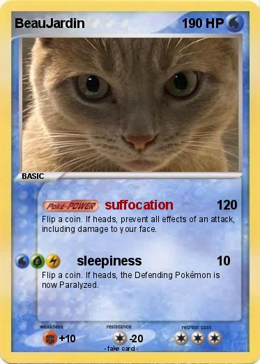 Pokemon BeauJardin