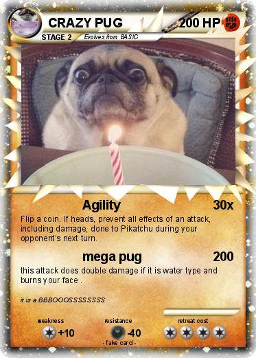 Pokemon CRAZY PUG