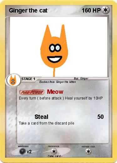 Pokemon Ginger the cat