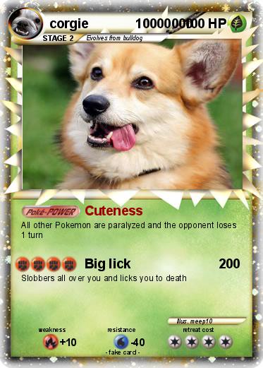 Pokemon corgie             10000000