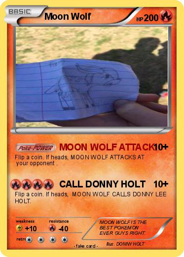 Pokemon Moon Wolf