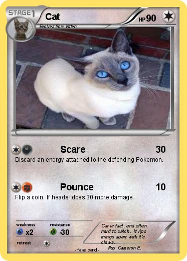 Pokemon Cat