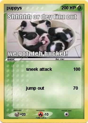 Pokemon puppys