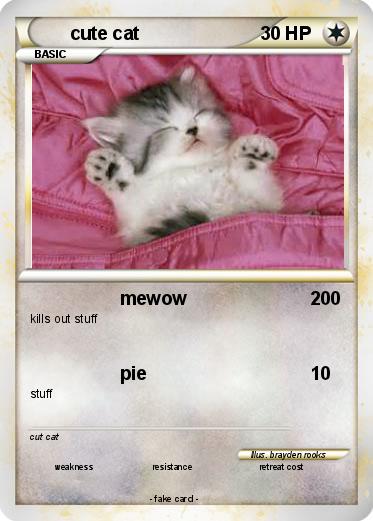 Pokemon cute cat