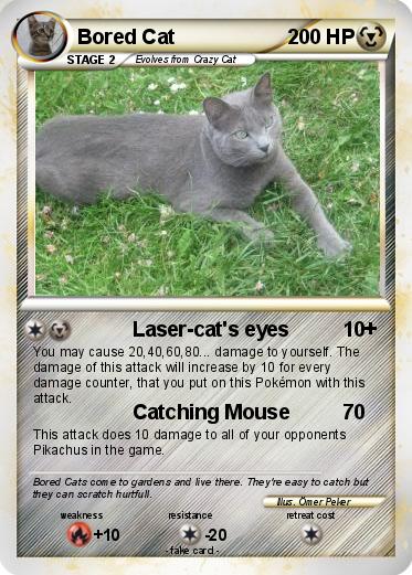 Pokemon Bored Cat