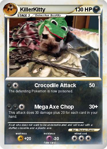 Pokemon KillerKitty