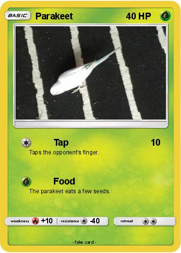 Pokemon Parakeet