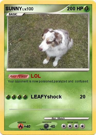 Pokemon SUNNY