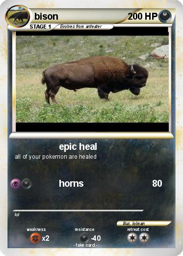 Pokemon bison