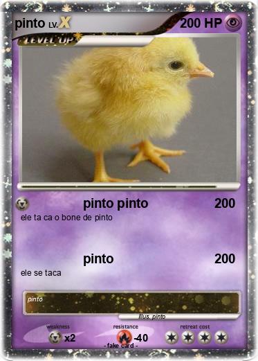 Pokemon pinto