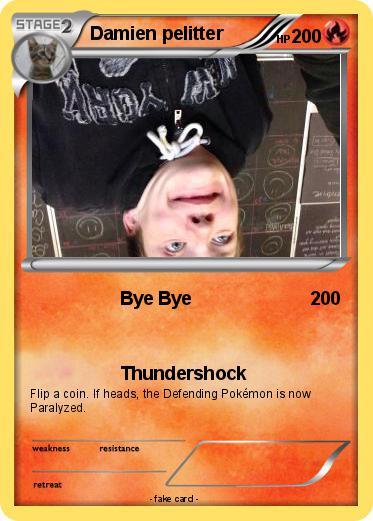 Pokemon Damien pelitter