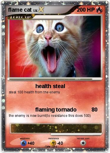 Pokemon flame cat