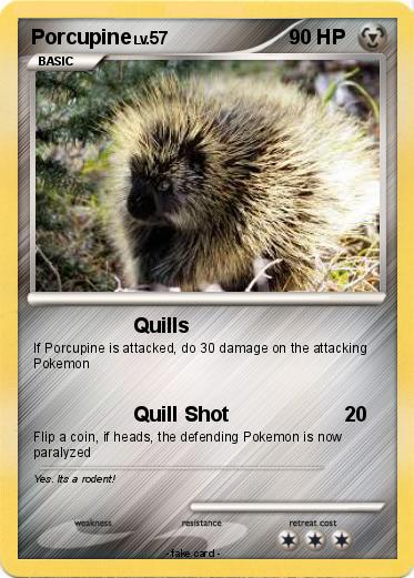 Pokemon Porcupine