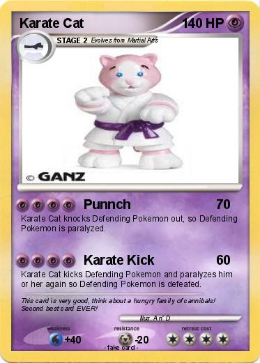 Pokemon Karate Cat