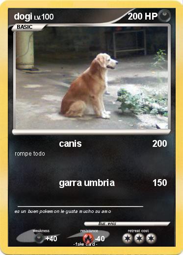 Pokemon dogi