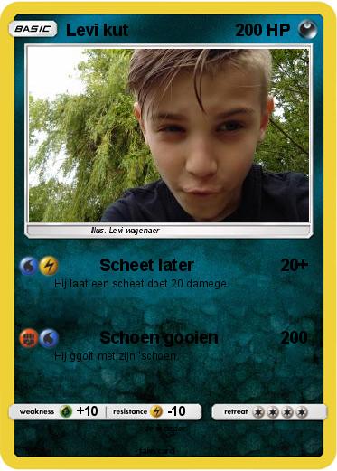 Pokemon Levi kut
