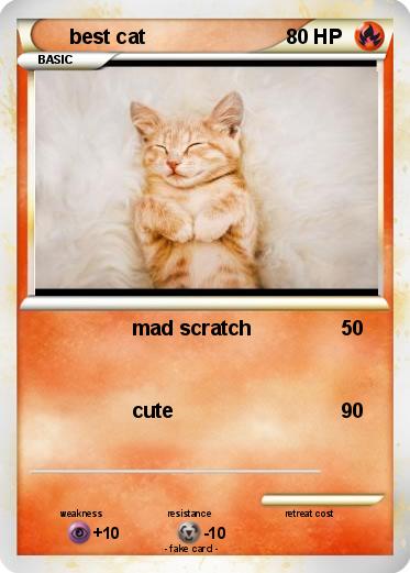 Pokemon best cat