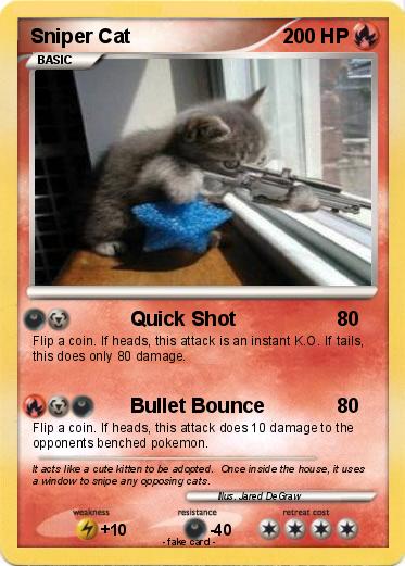 Pokemon Sniper Cat